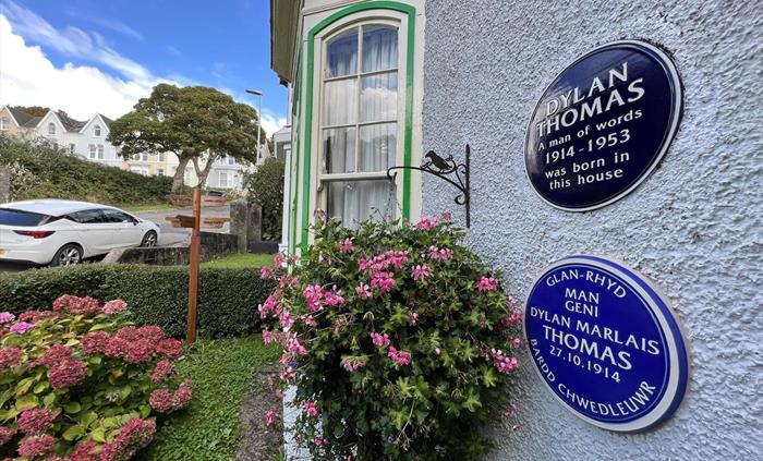 Blue Plaques at Dylan's